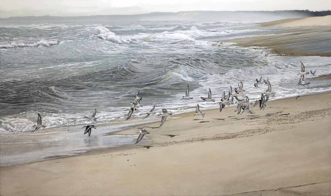photorealist painter Steve Mills